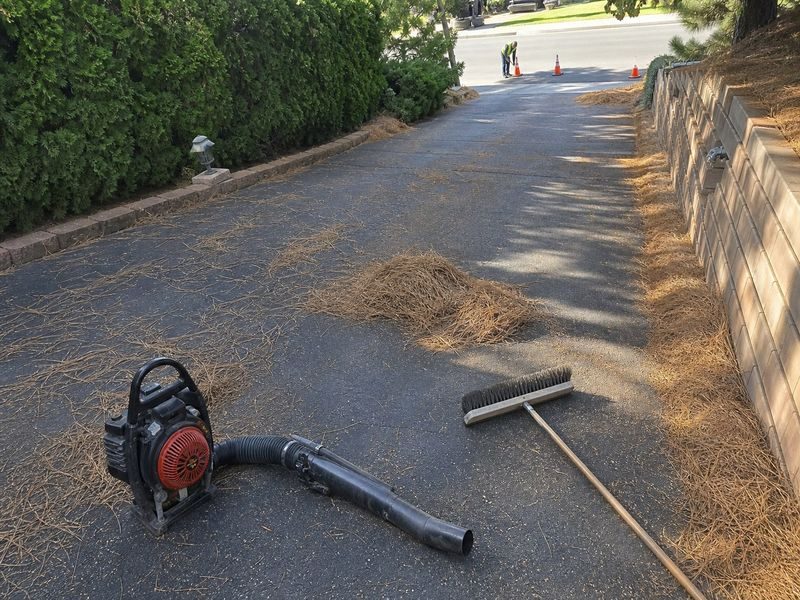 Maintenance Scheduling Driveways Under Modesto Ca